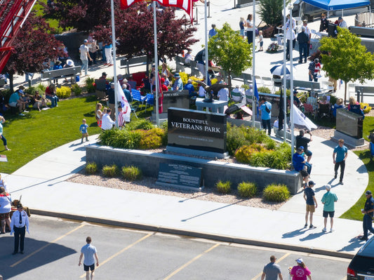 Veterans Park from Above — Aerial Print