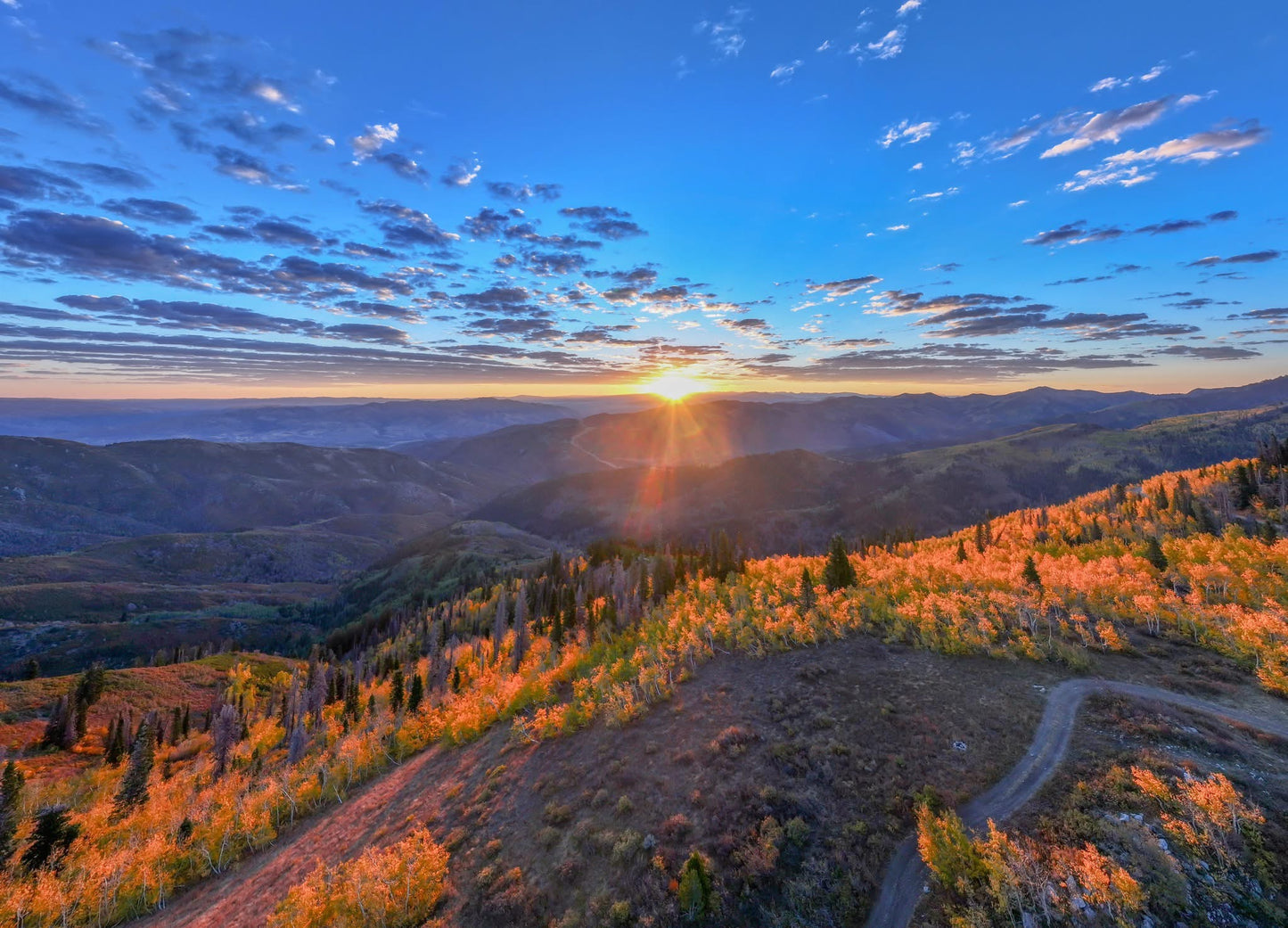 Wasatch Foothills in Autumn — Aerial Print